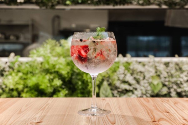 Gin Tonica